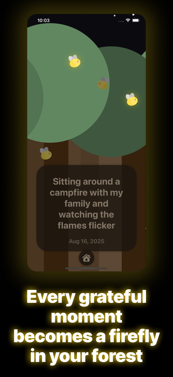 Lampyridae forest view with glowing fireflies representing past entries